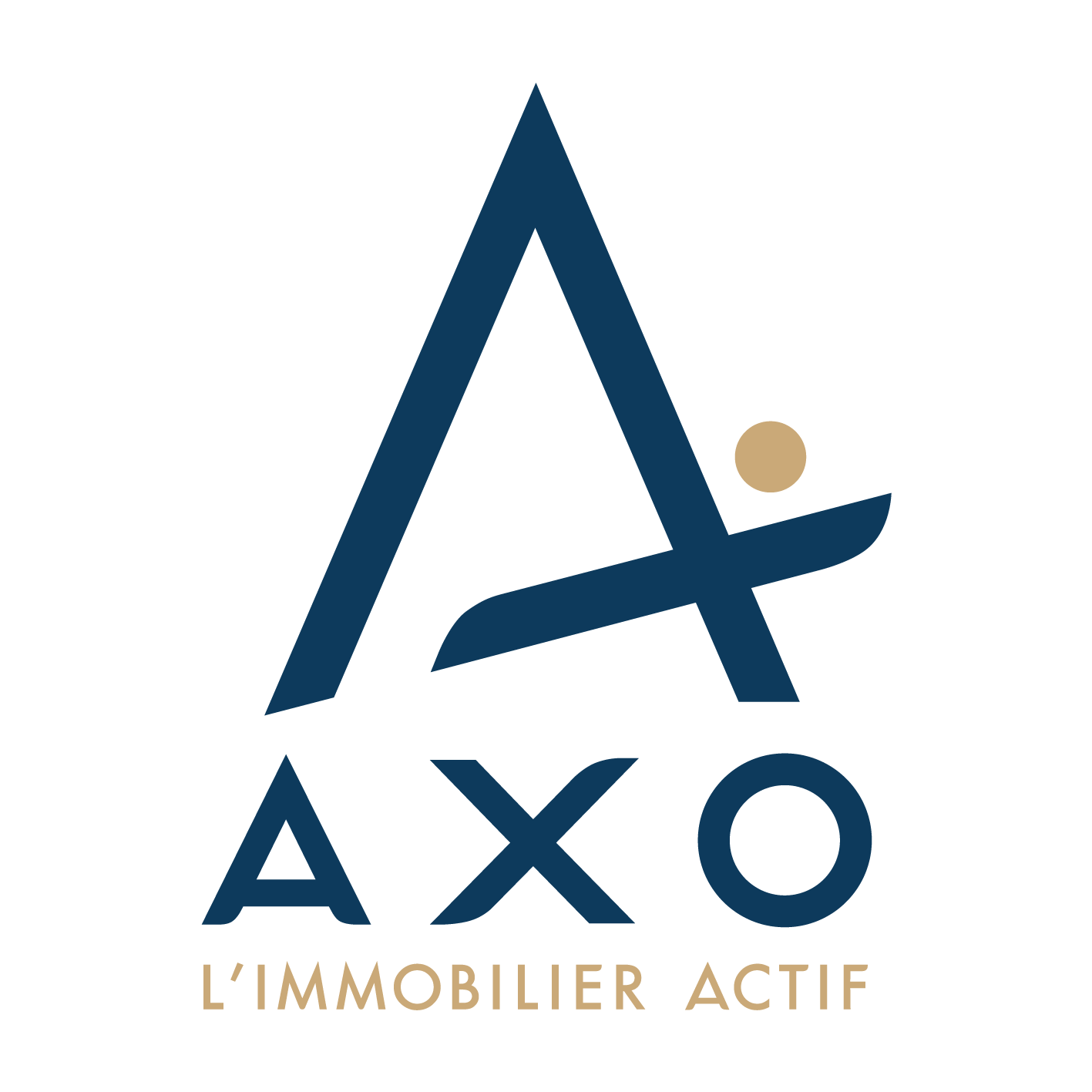 Agence de Boussay – AXO.immo